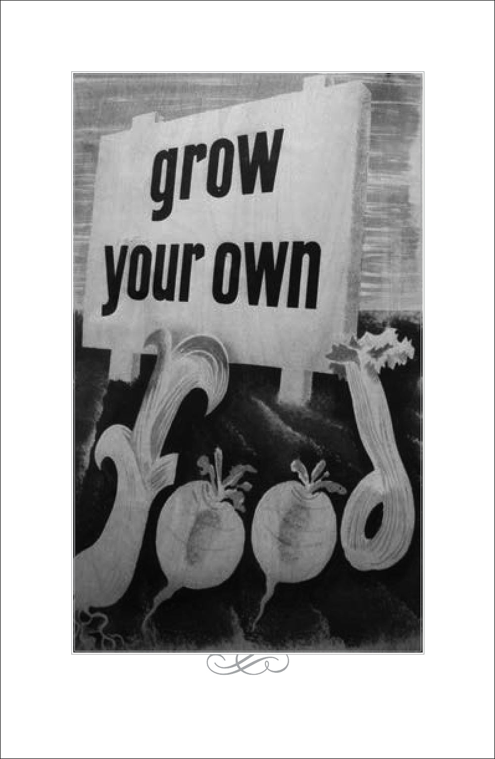 Biodiversi