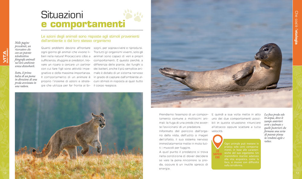 Vita degli animali. Con il contributo scientifico di Safari Ravenna