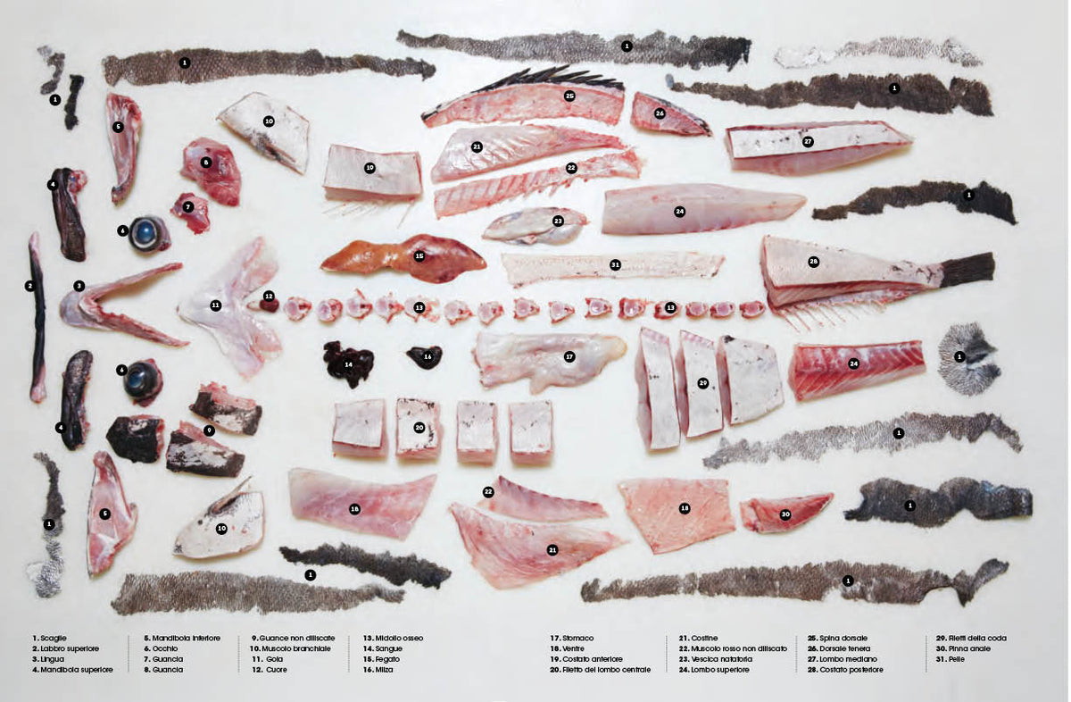Il Grande libro del pesce. Nuovi modi per cucinarlo, mangiarlo e pensarlo