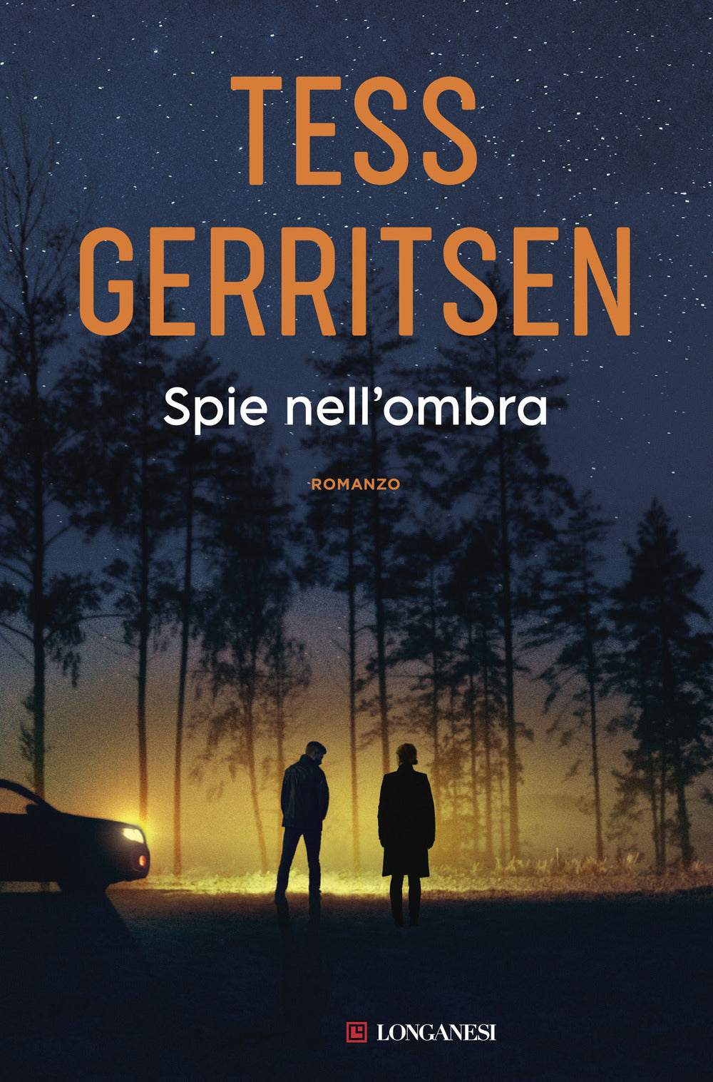 Spie nell'ombra