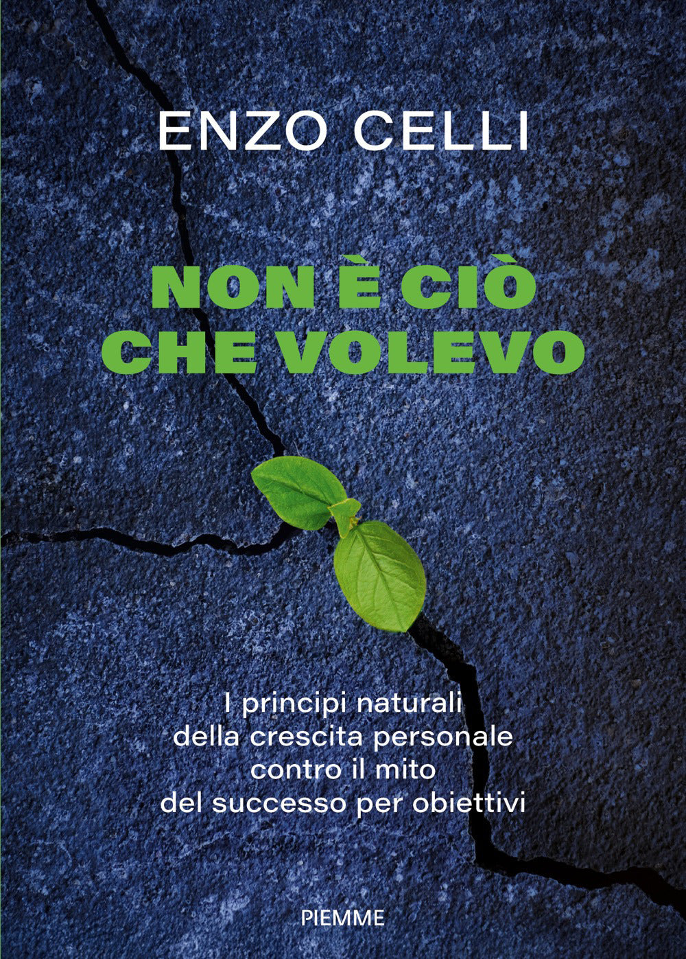 Non è ciò che volevo. I principi naturali della crescita personale contro il mito del successo per obiettivi