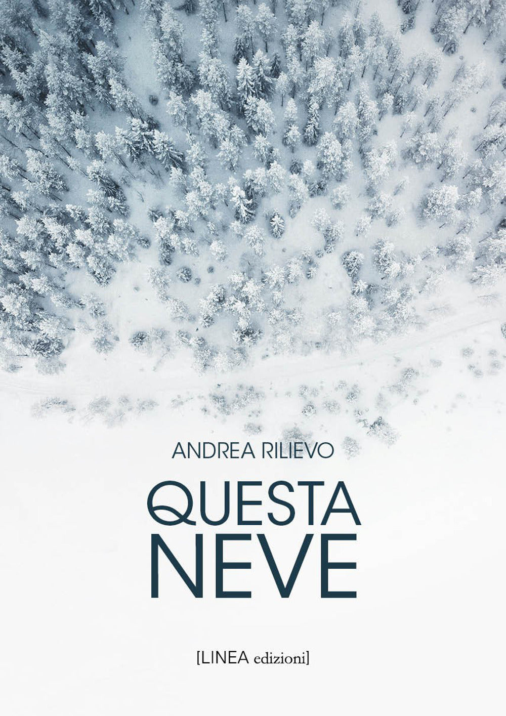 Questa neve