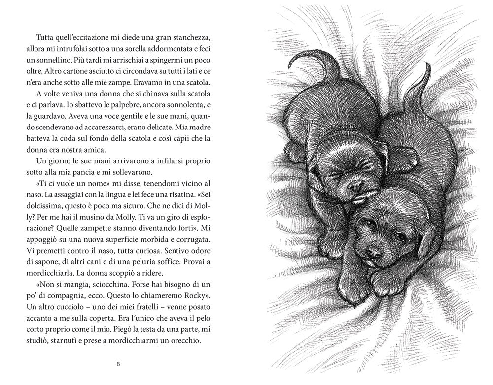 Storia di Molly