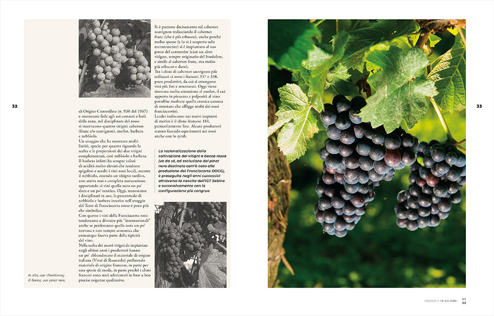 Franciacorta, ieri, oggi e domani. Storie di vigne, cantine e uomini