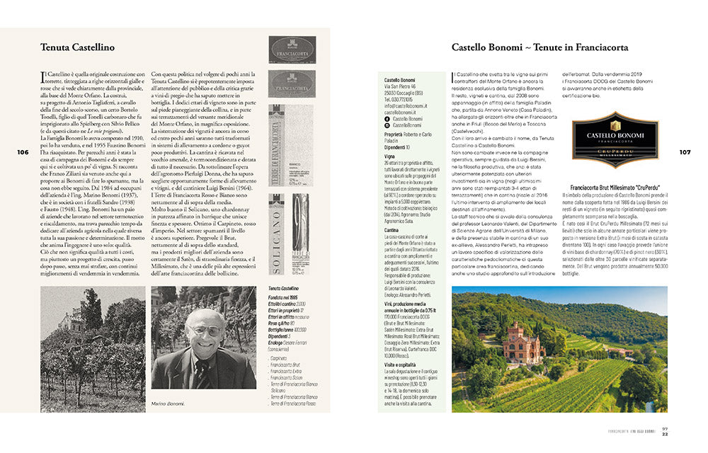 Franciacorta, ieri, oggi e domani. Storie di vigne, cantine e uomini