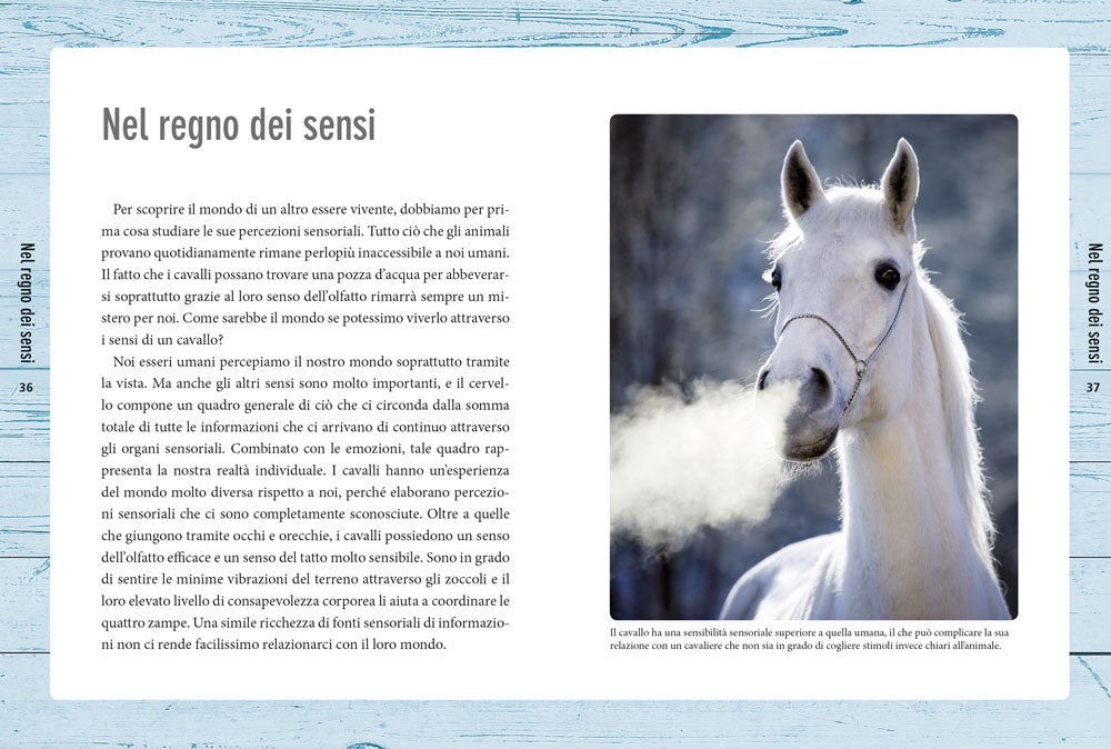 Nella mente del cavallo. Capire le sue emozioni, rispettare la sua intelligenza