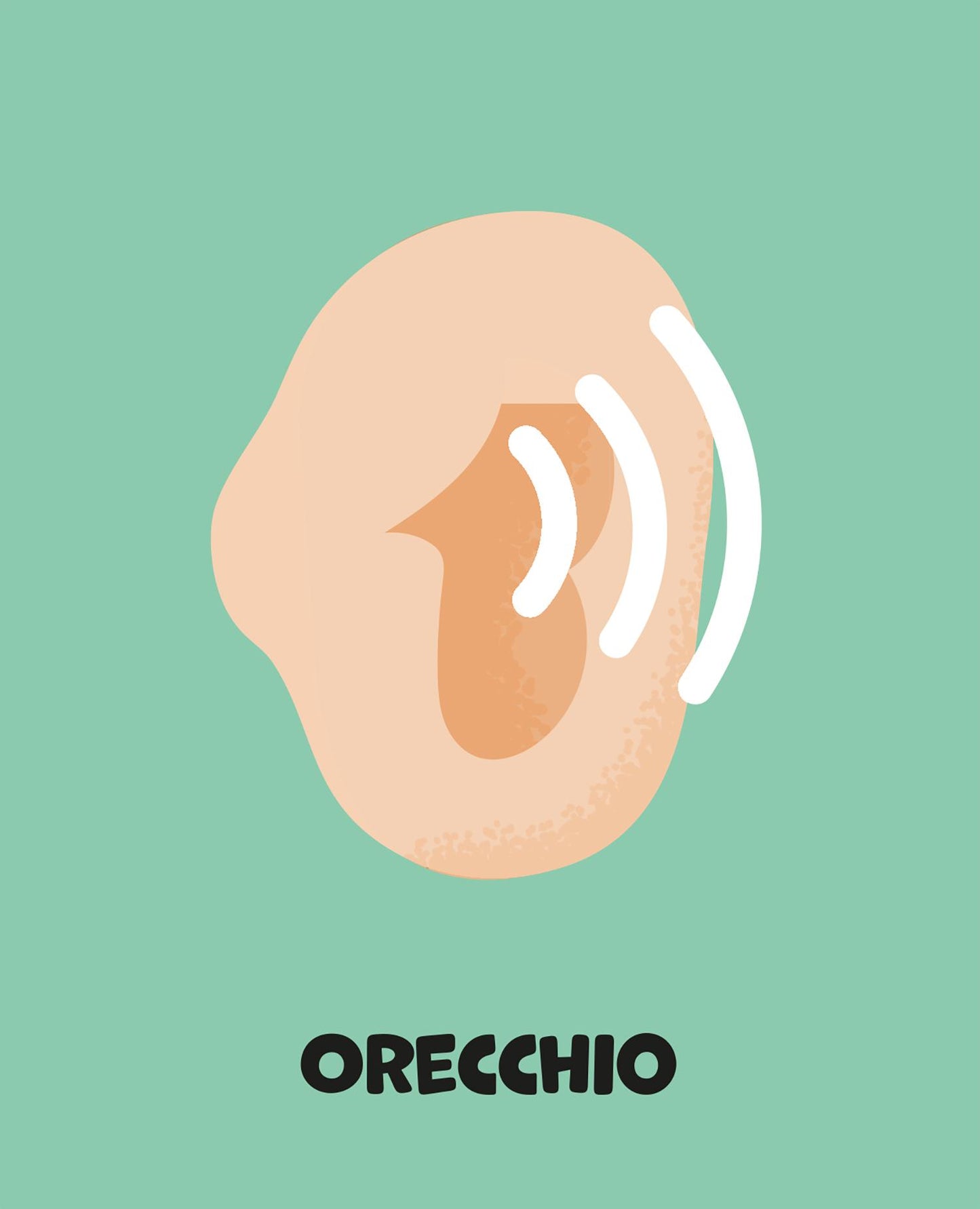 Sensi e azioni