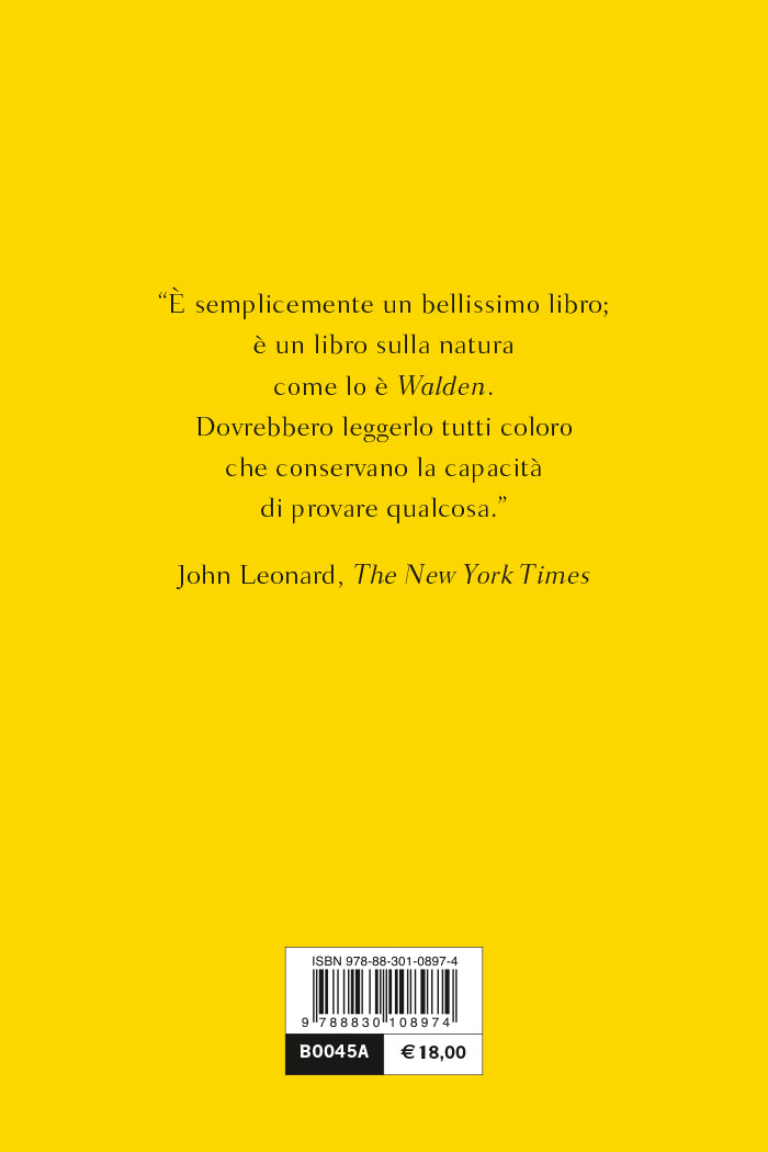 L'isola dentro l'isola