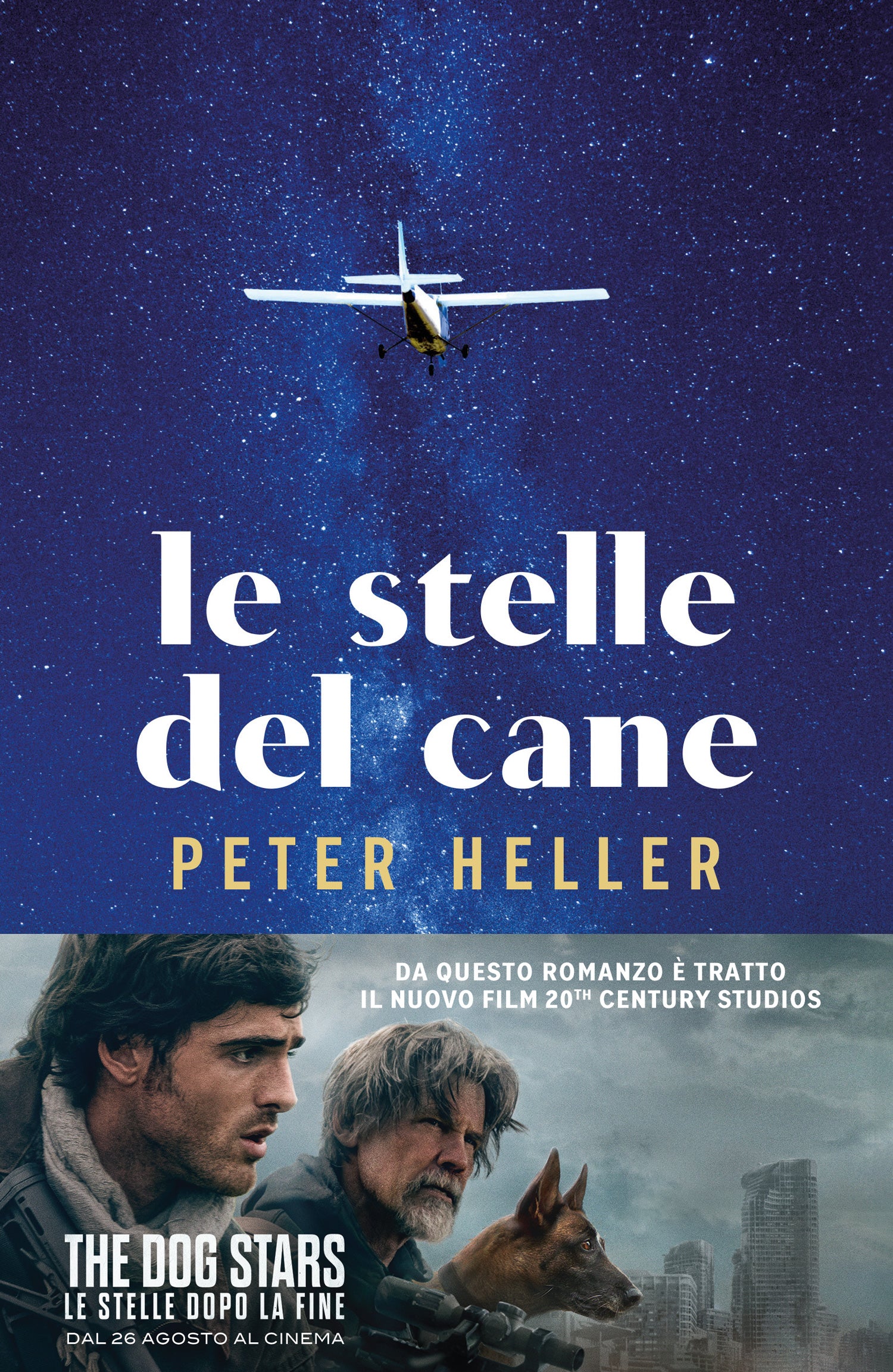 Le stelle del cane