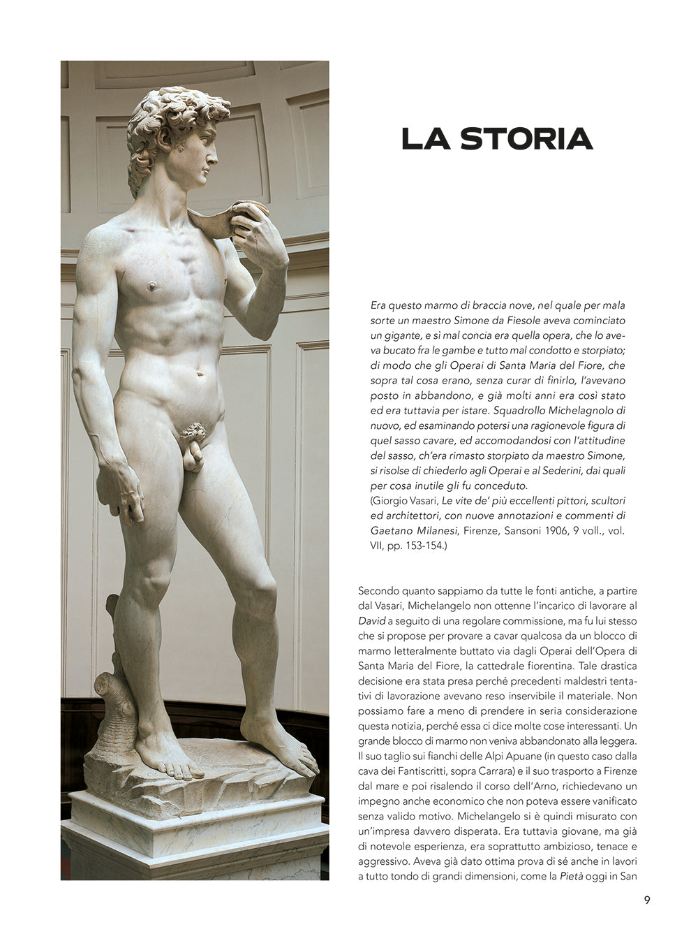 Il David di Michelangelo