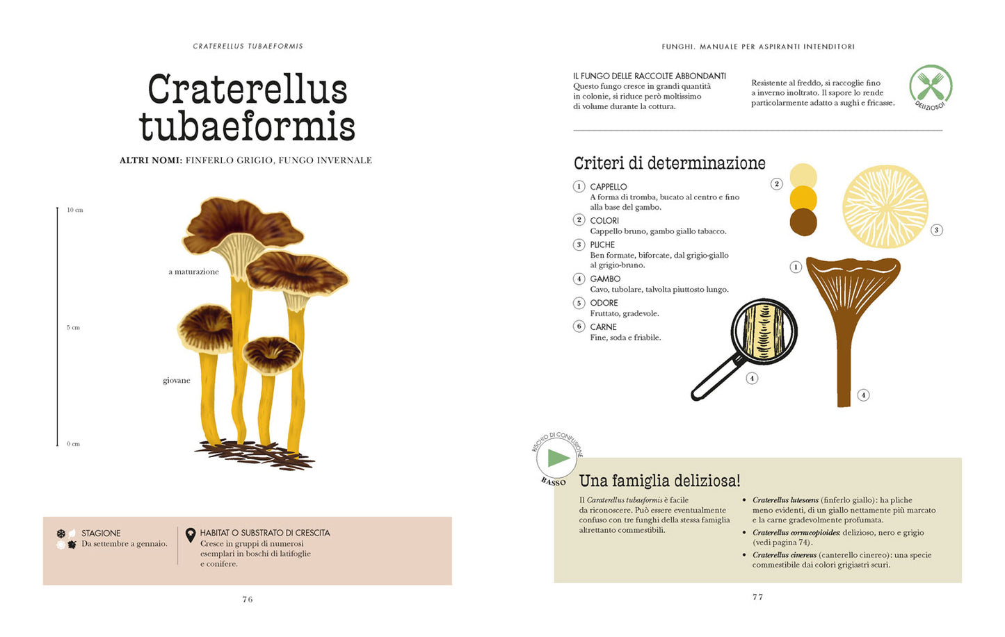 Funghi. Manuale per aspiranti intenditori