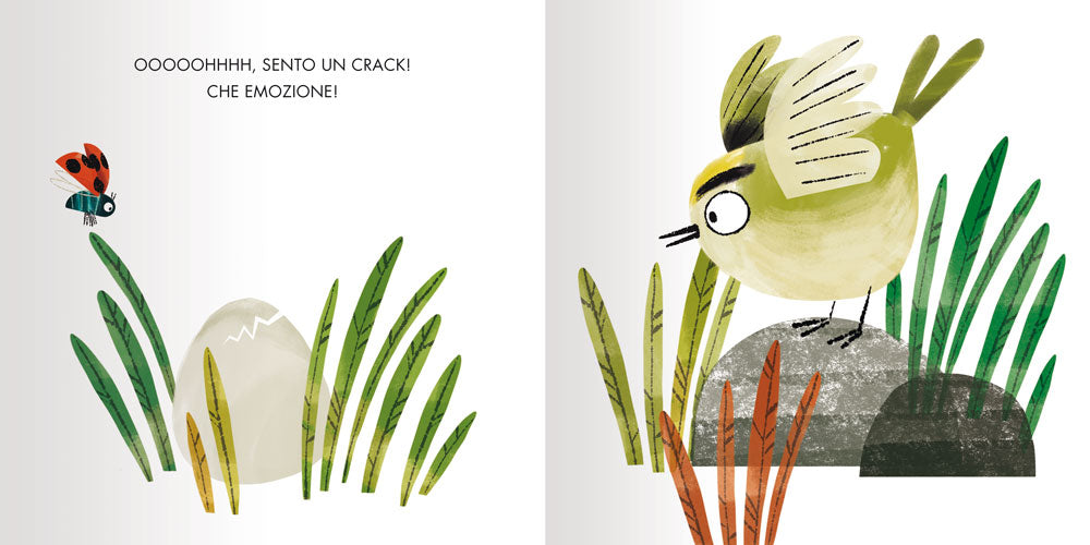 Accipicchia!
