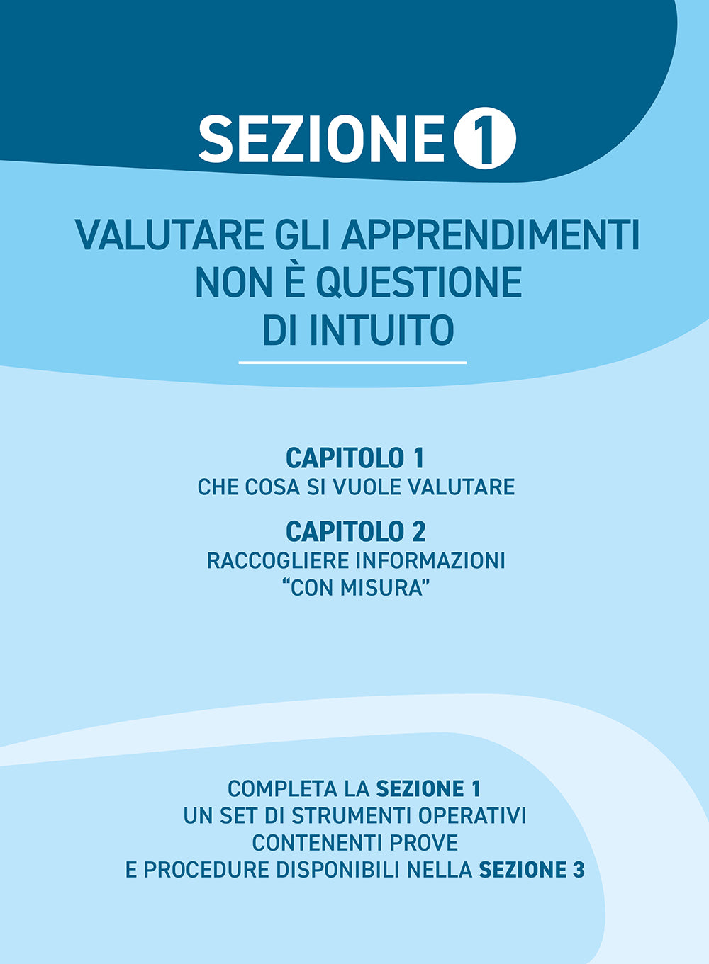 Valutare gli apprendimenti nella scuola primaria. Metodologie e materiali per la valutazione in ingresso, in itinere e finale