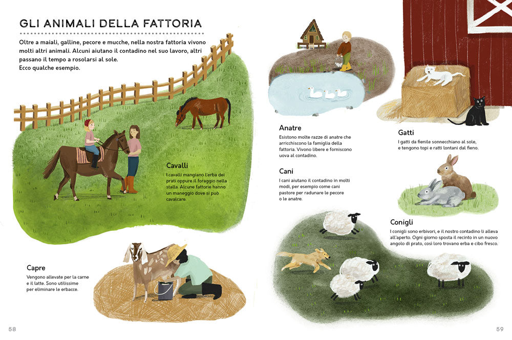 Un anno in fattoria. Le quattro stagioni nella vita di una fattoria biologica dal campo alla tavola.