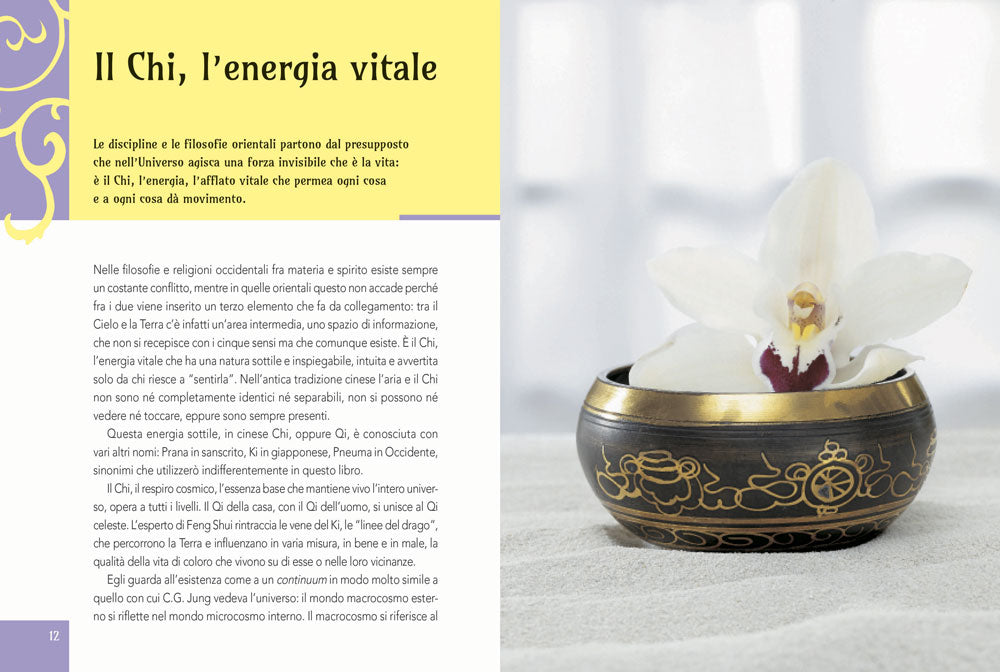 Feng Shui. Armonia, prosperità, benessere