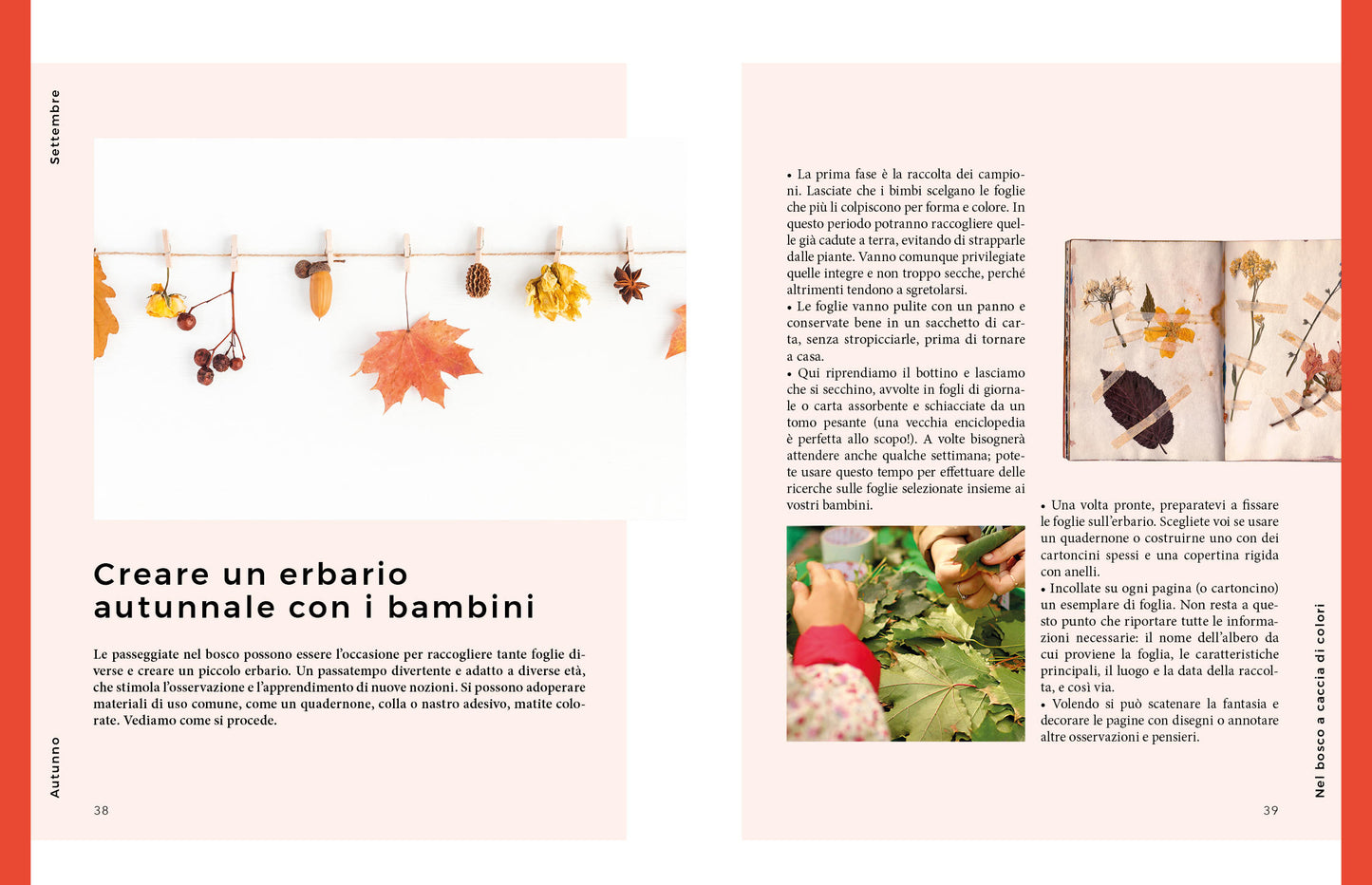 Autunno. Vita e cucina di stagione. Vita e cucina di stagione