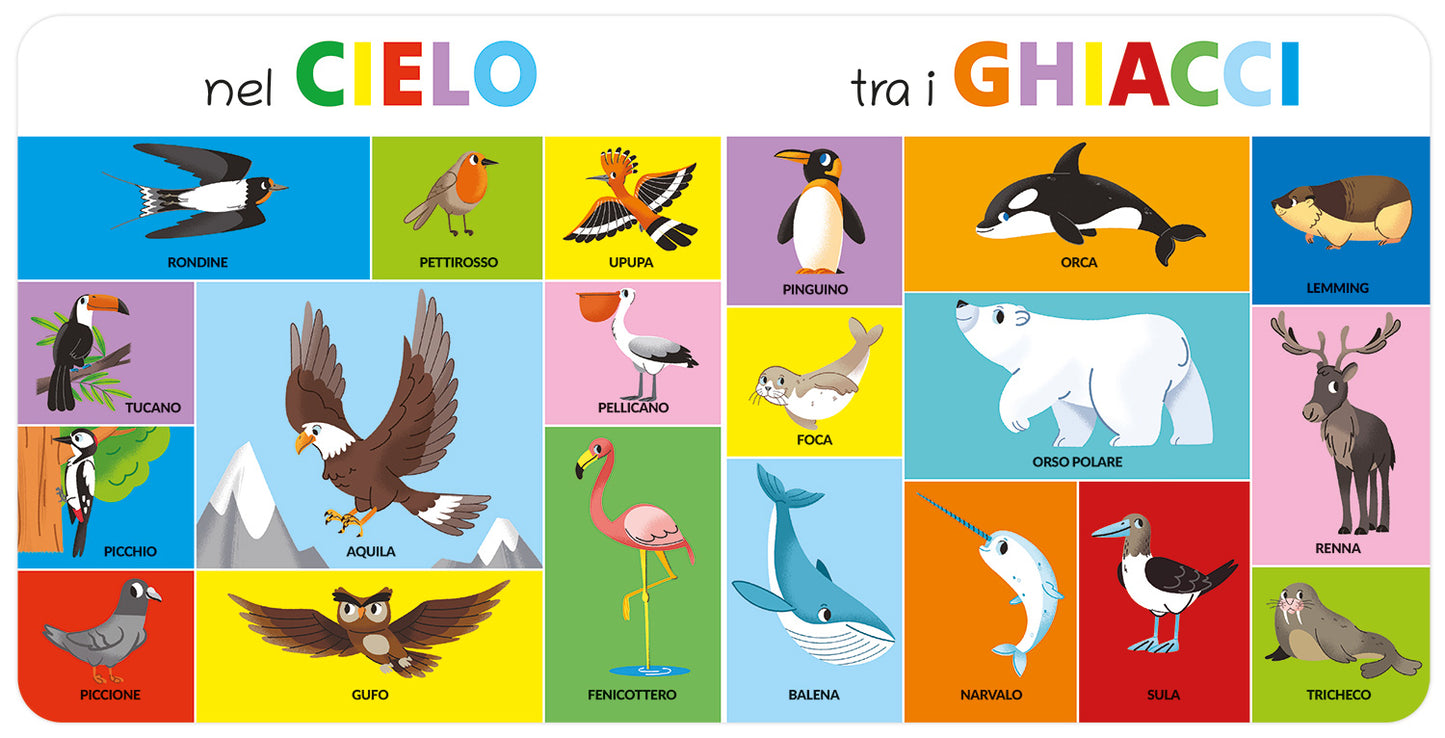 100 Animali