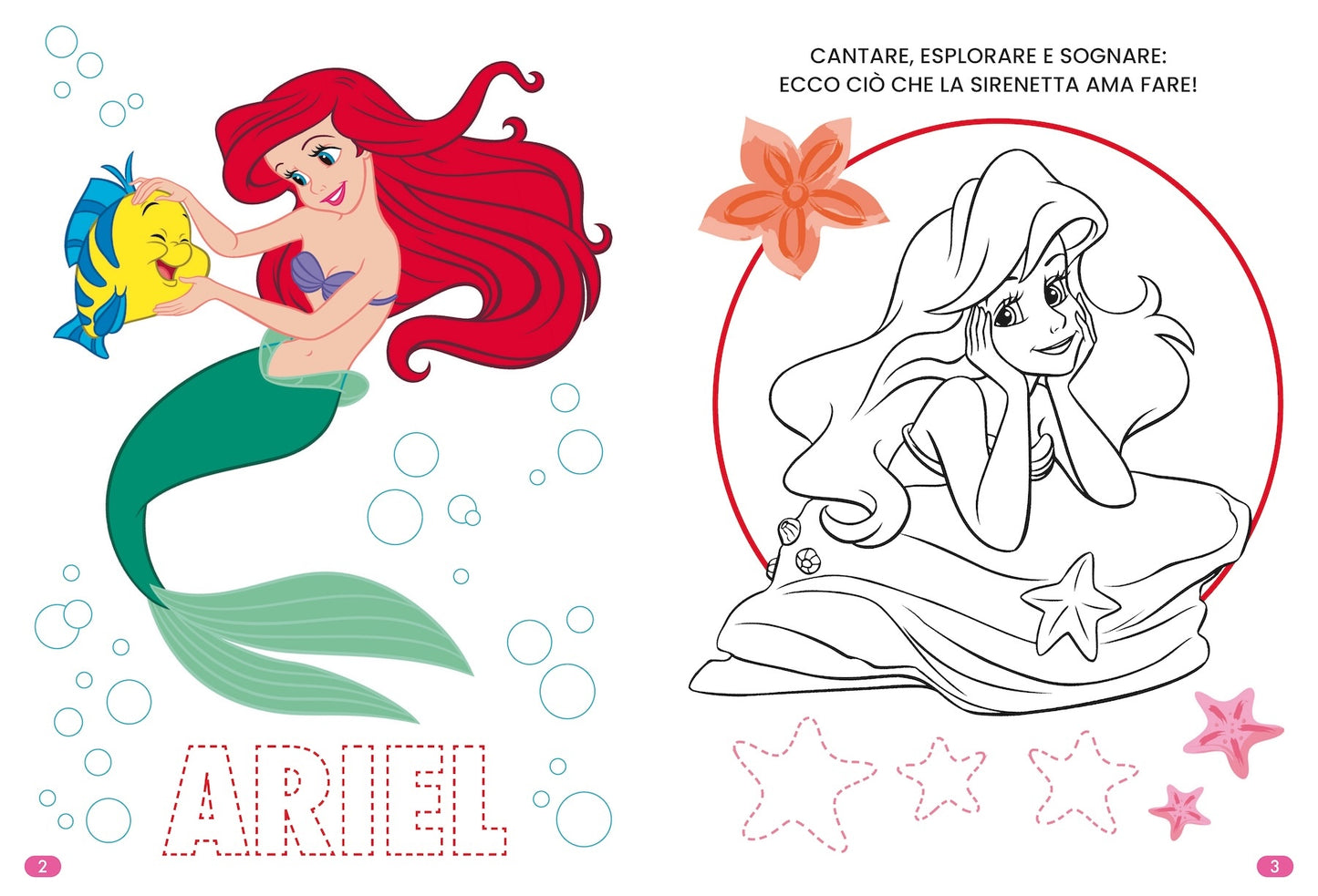 Disney Princess Special color