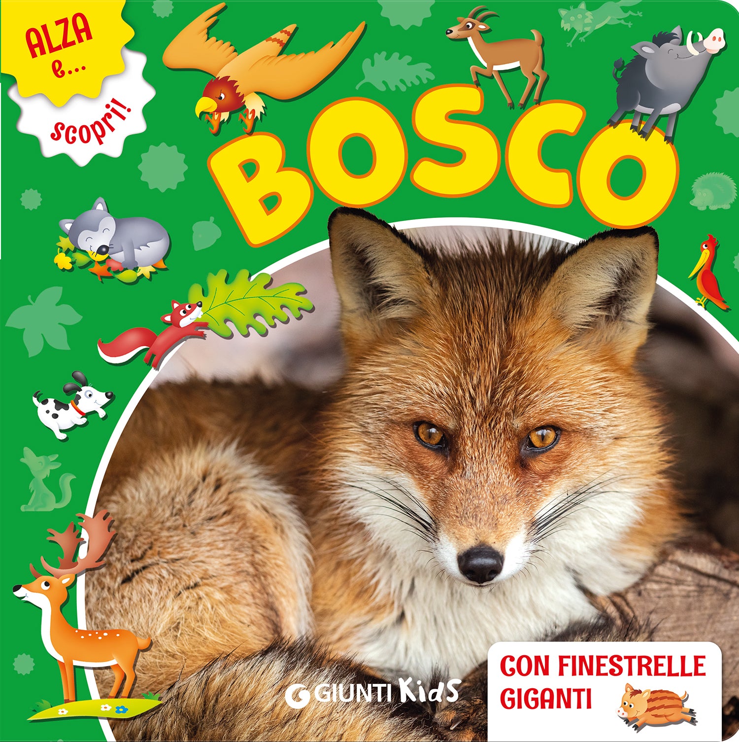 Bosco