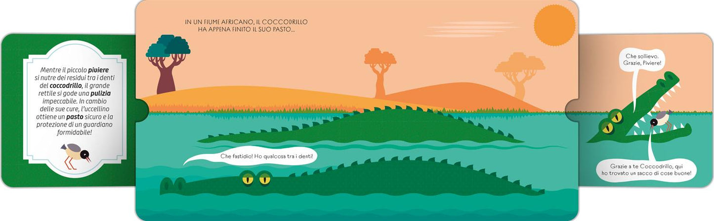 Amici è meglio. Alleanze sorprendenti nel mondo animale