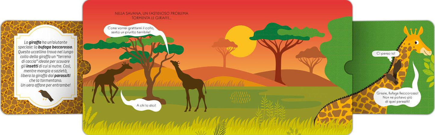 Amici è meglio. Alleanze sorprendenti nel mondo animale