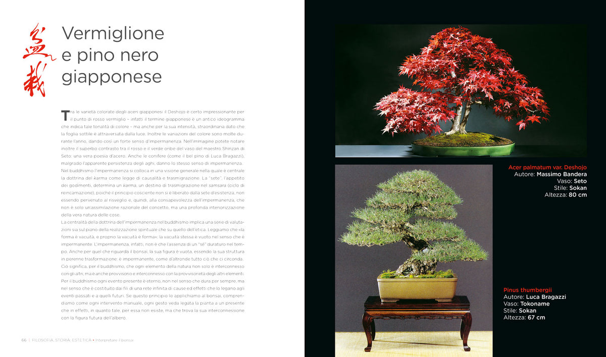 L'arte del bonsai. Storia, estetica, tecniche e segreti di coltivazione