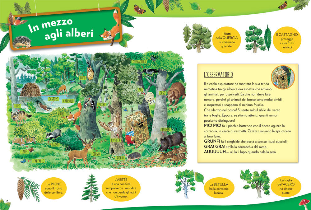 Conosci... il bosco