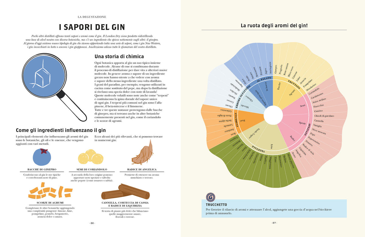 Gin. Manuale per aspiranti intenditori. Guida illustrata per appassionati