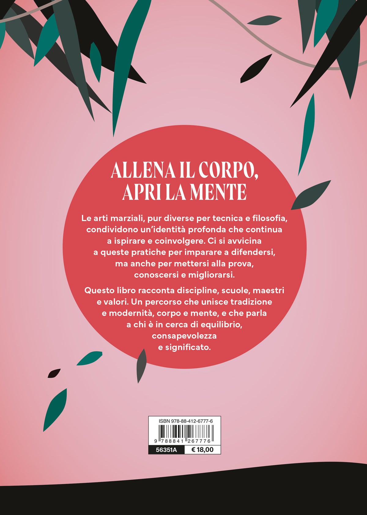 I segreti delle arti marziali