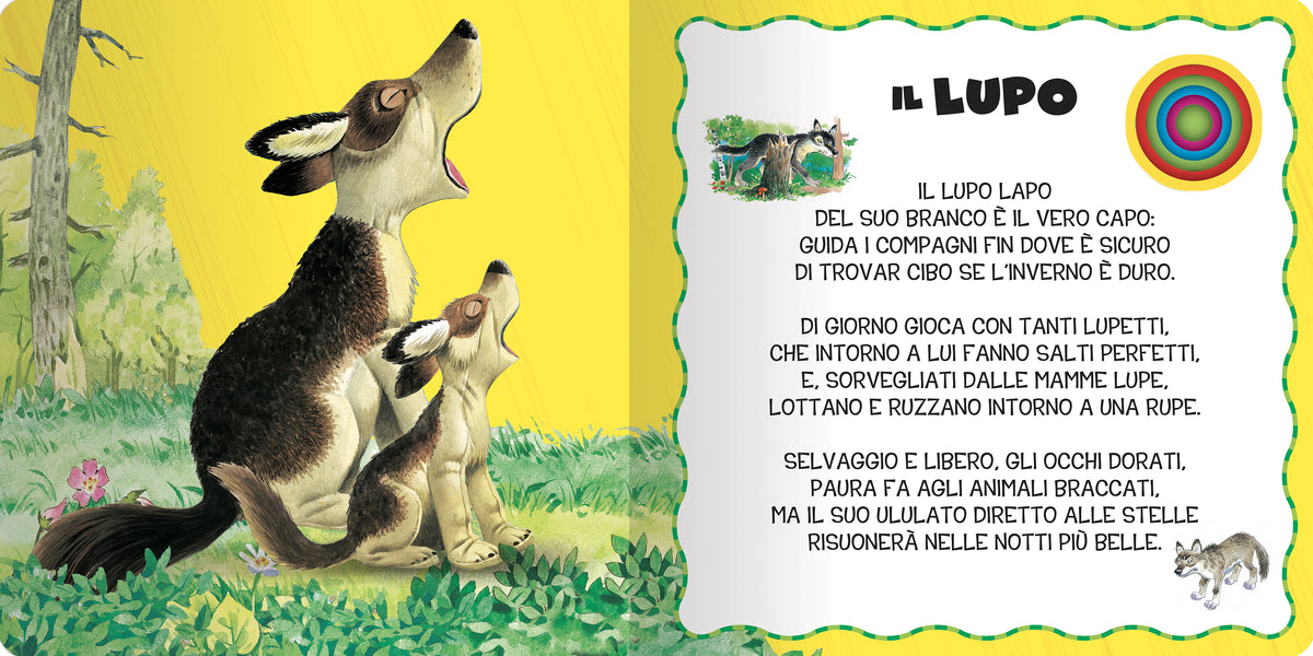 Il Bosco