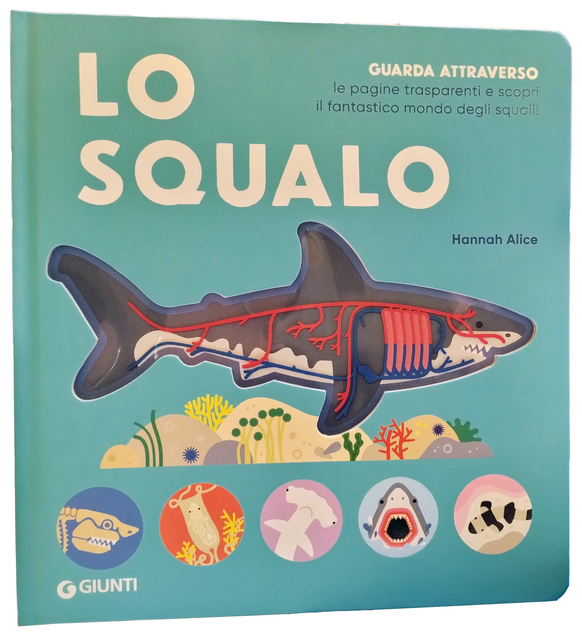 Lo squalo