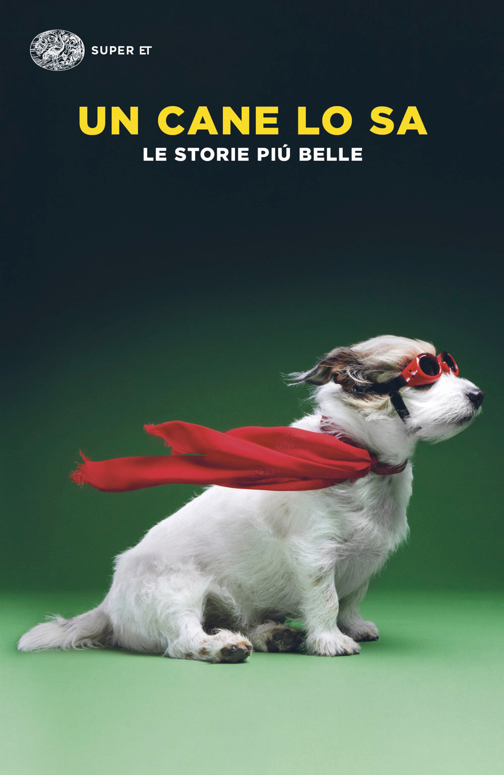 Un cane lo sa. Le storie più belle