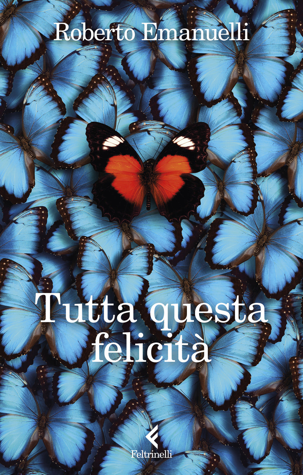 Tutta questa felicità