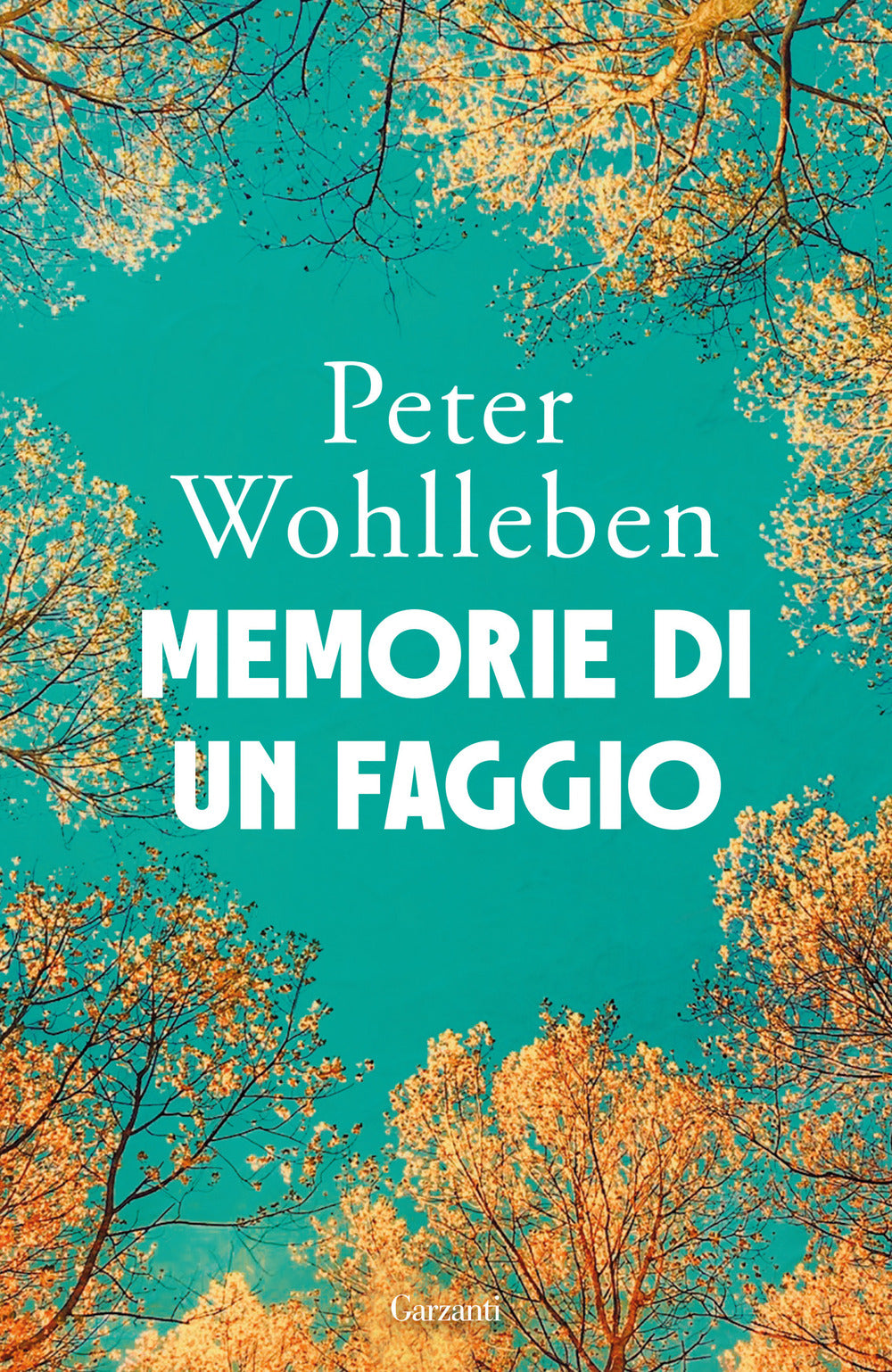 Memorie di un faggio
