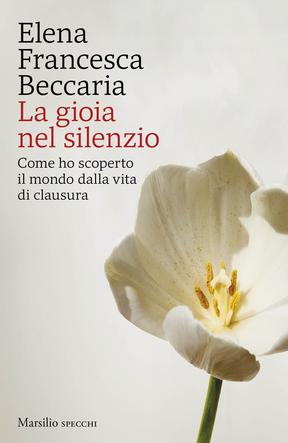 La gioia nel silenzio