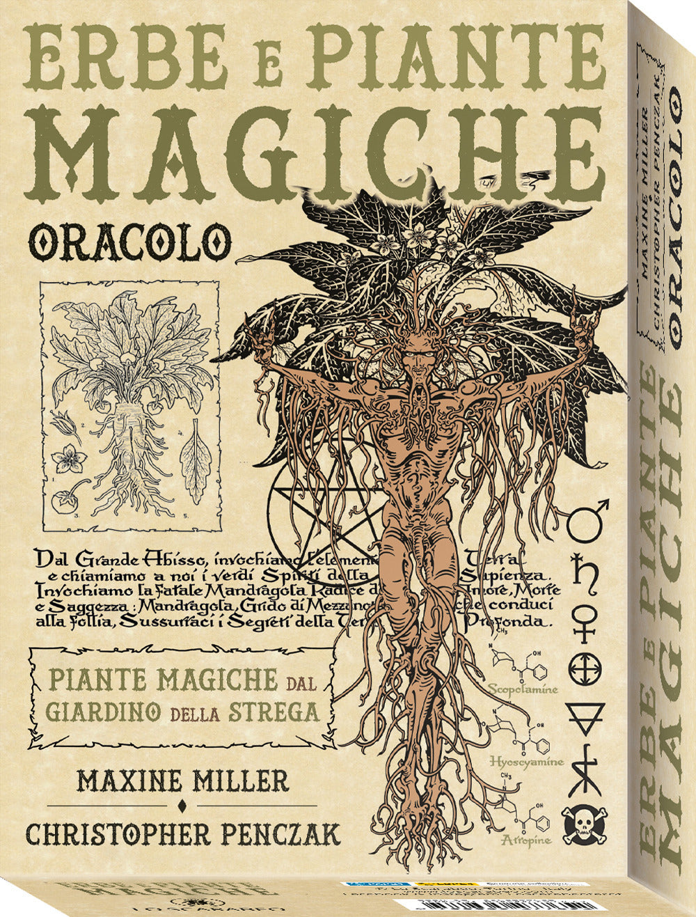 Erbe e piante magiche oracolo. Piante magiche dal giardino della strega