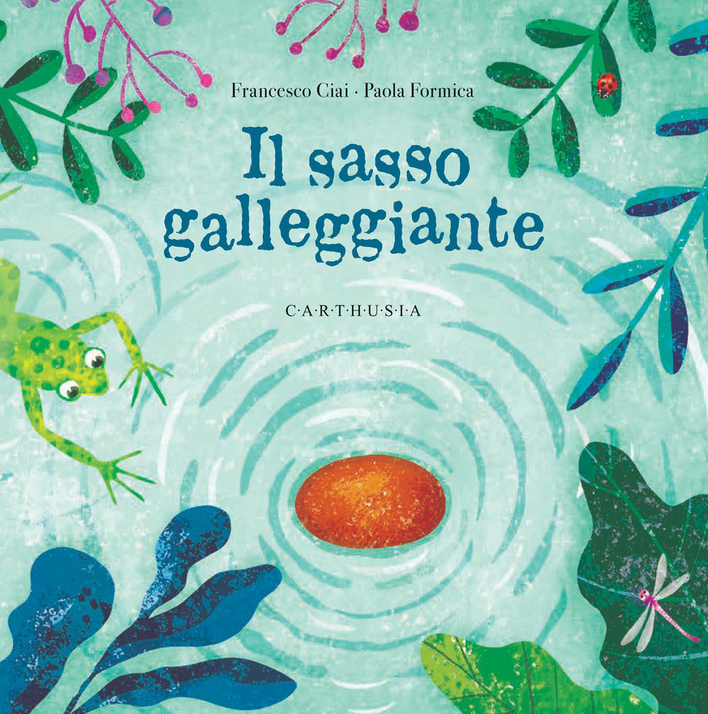 Il sasso galleggiante