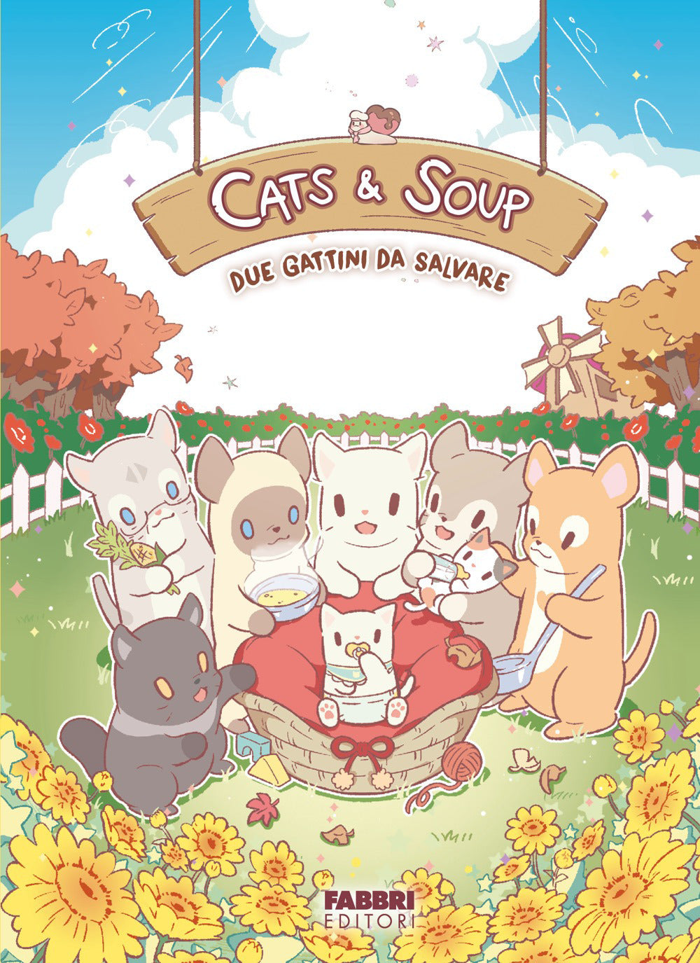 Due gattini da salvare. Cats & Soup
