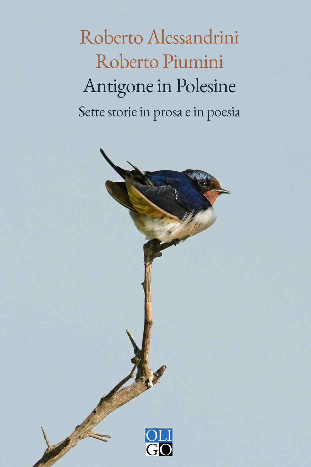 Antigone in Polesine. Sette storie in prosa e in poesia