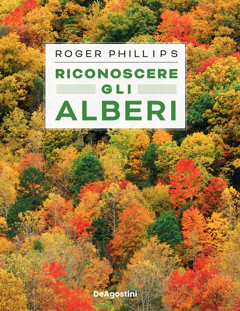 Riconoscere gli alberi. Ediz. illustrata.