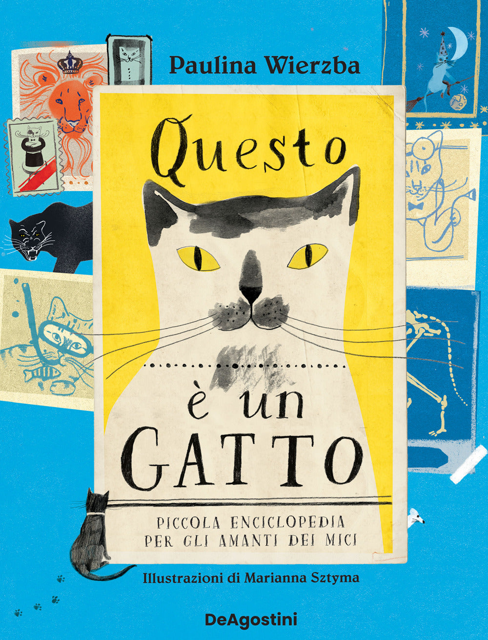 Questo è un gatto. Piccola enciclopedia per gli amanti dei mici.