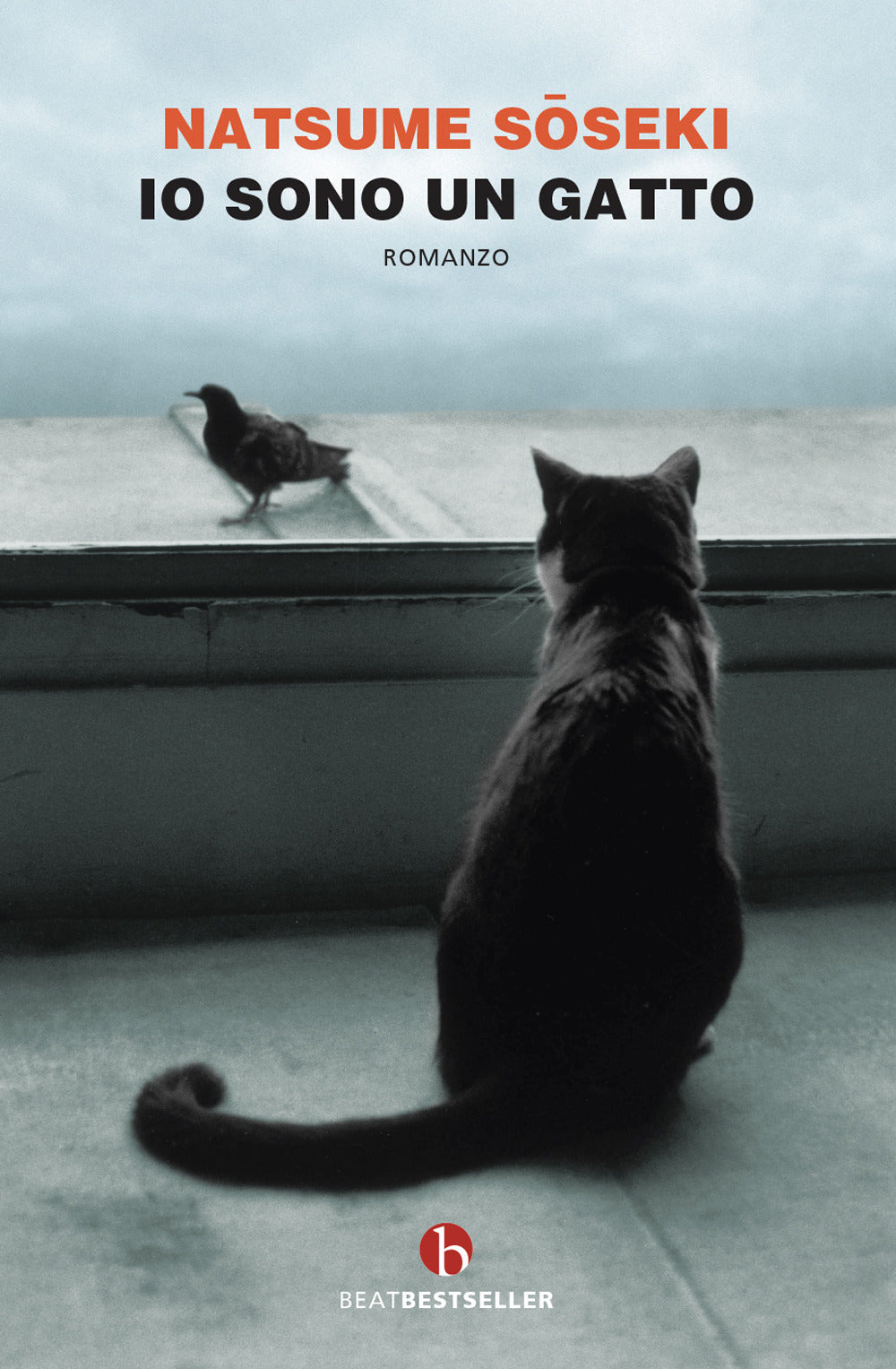 Io sono un gatto.