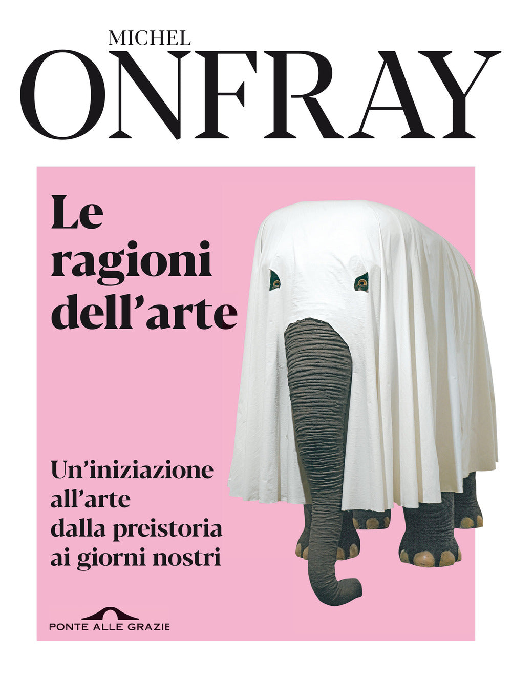 Le ragioni dell'arte. Un'iniziazione all'arte dalla preistoria ai giorni nostri.