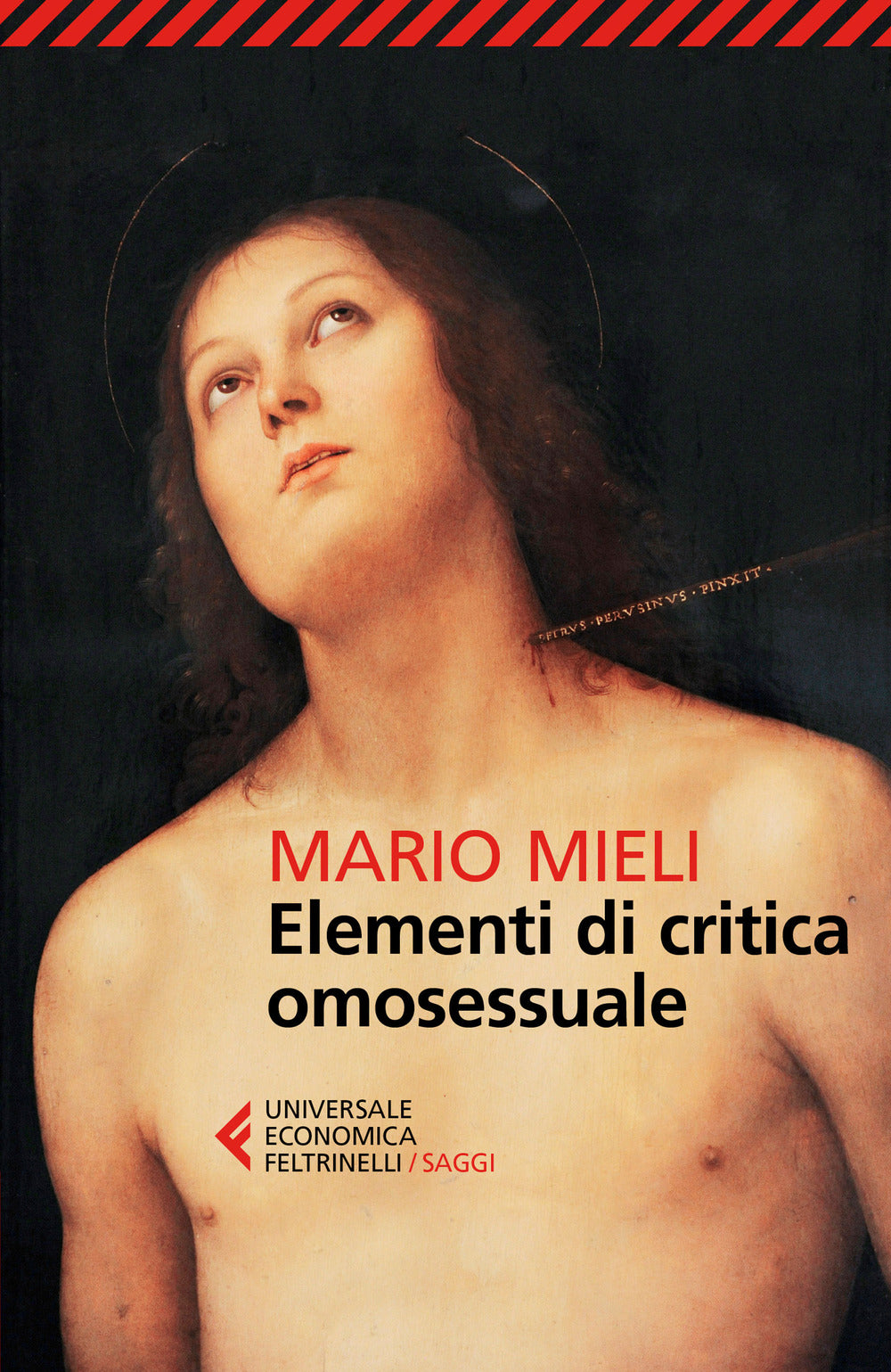 Elementi di critica omosessuale.