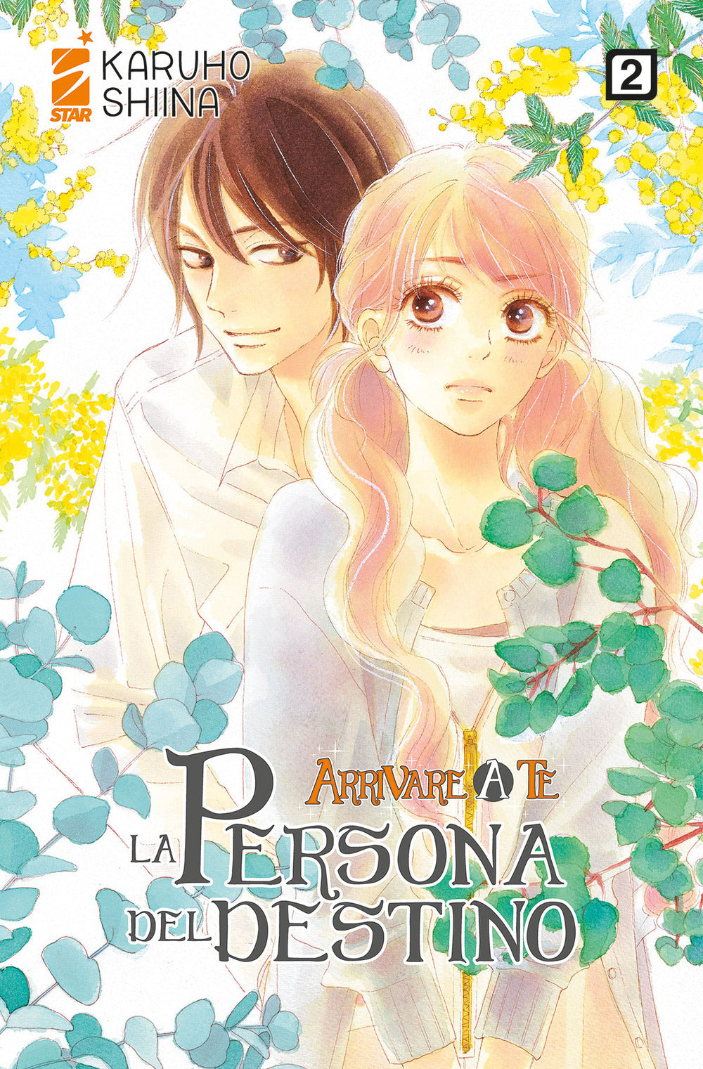 La persona del destino. Arrivare a te. Vol. 2.