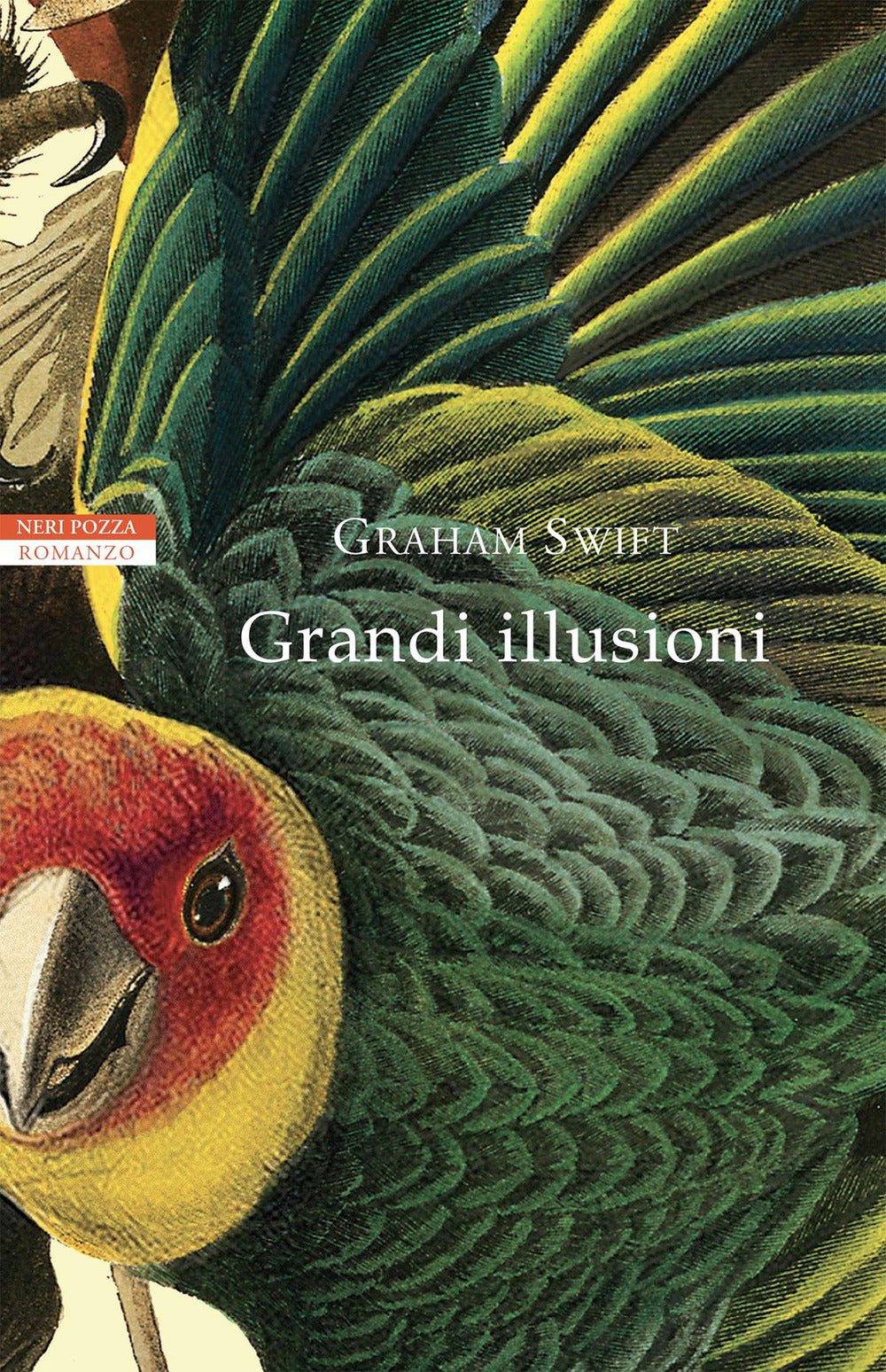 Grandi illusioni.