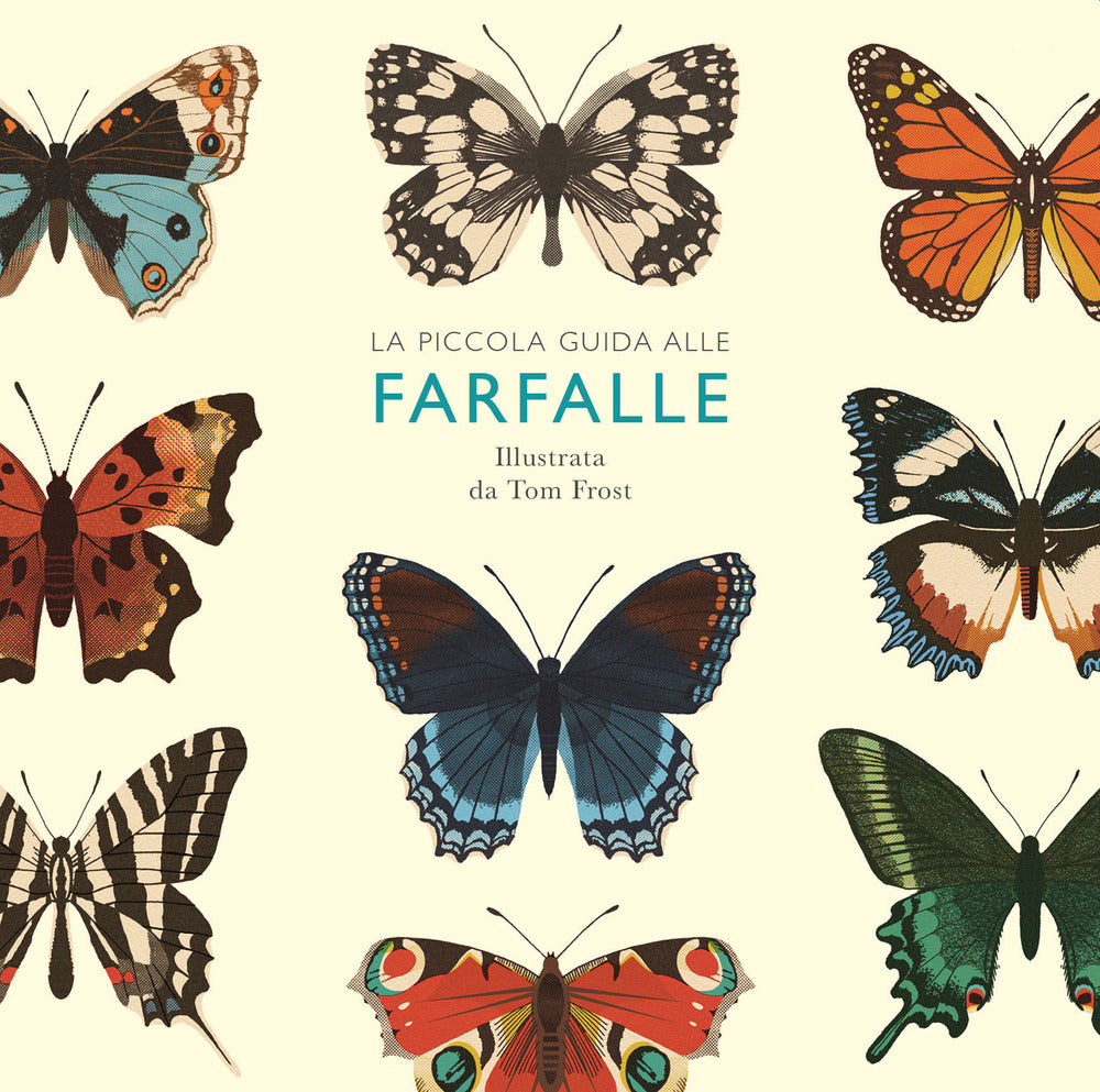 Piccola guida alle farfalle. Ediz. a colori.
