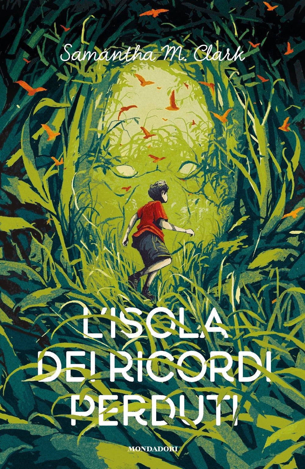 L'isola dei ricordi perduti.
