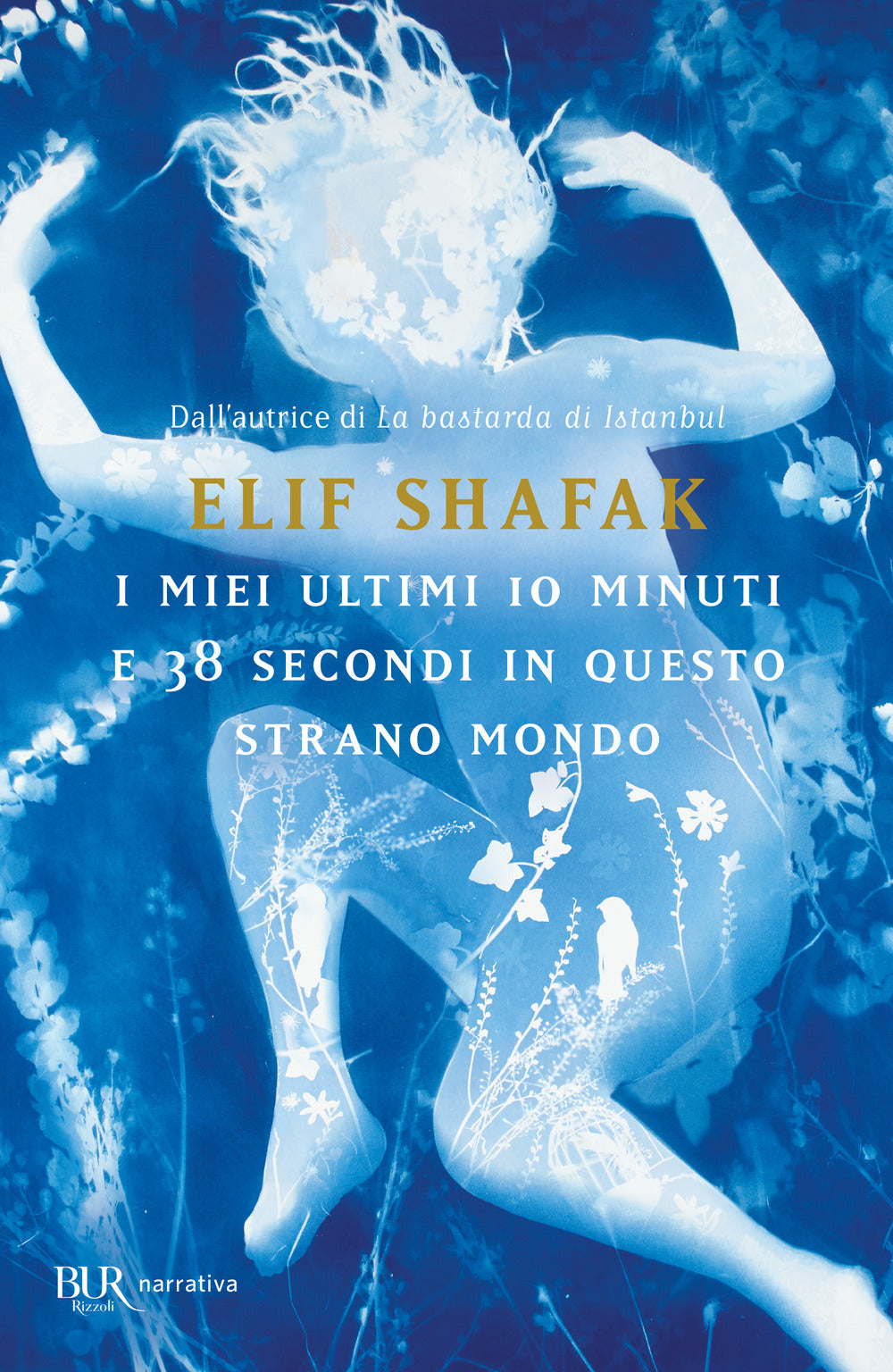 I miei ultimi 10 minuti e 38 secondi in questo strano mondo.