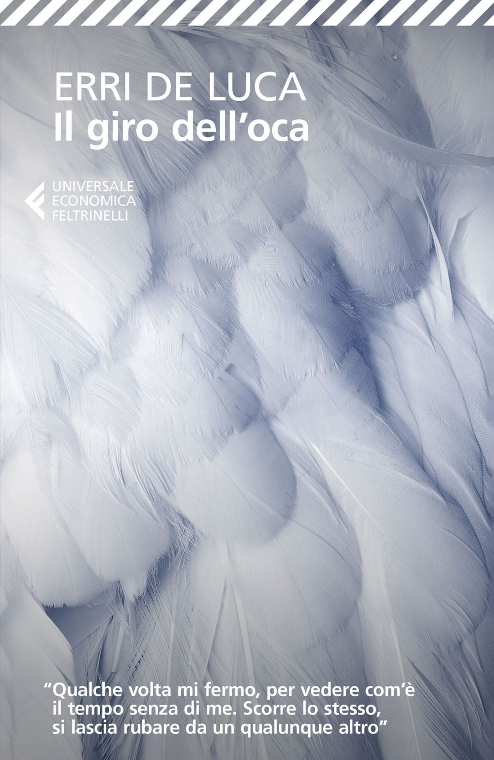 Il giro dell'oca.